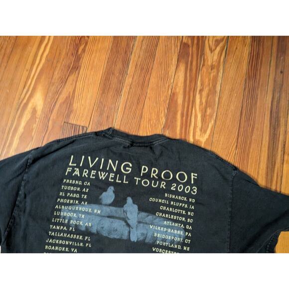 Cher Living Proof Farewell Tour 2003 Y2K Tennessee River Tag Size Large - Picture 5 of 7